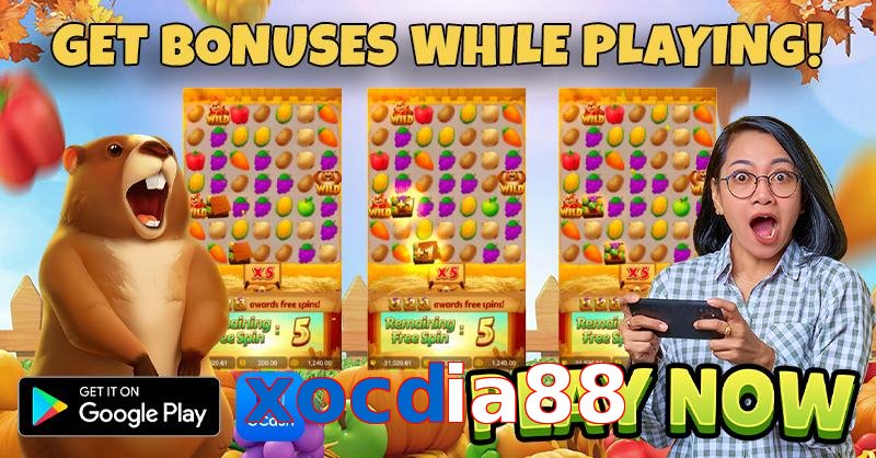 xocdia88